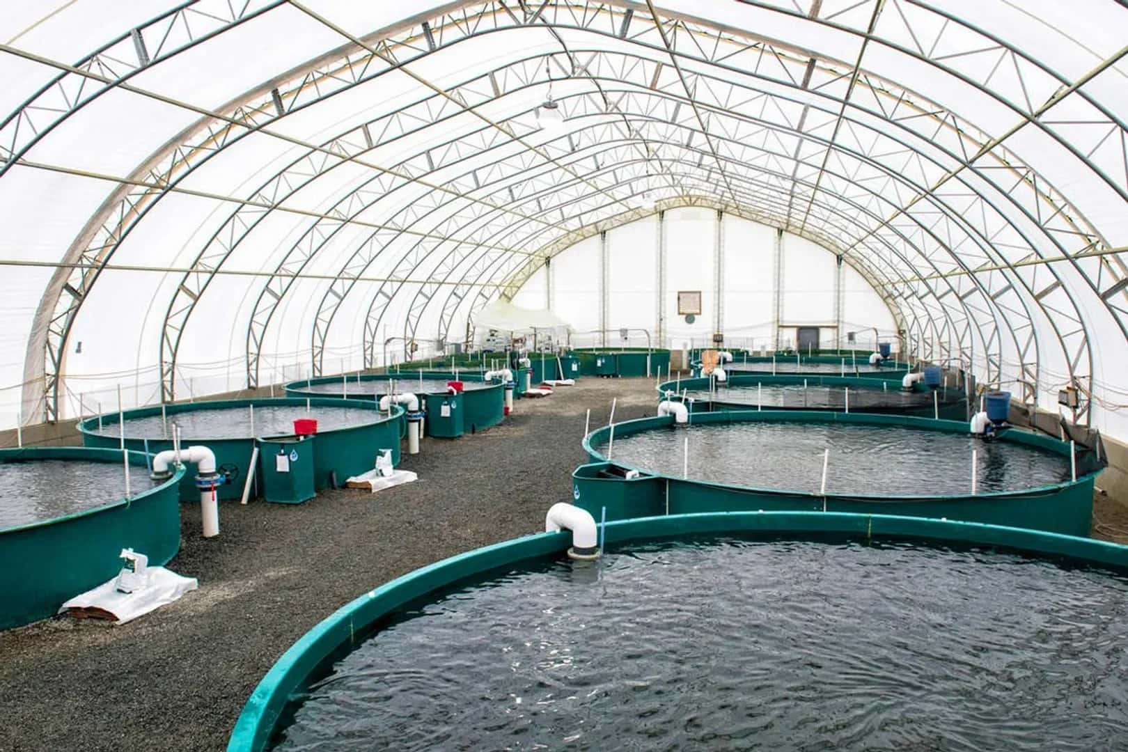 Aquaculture