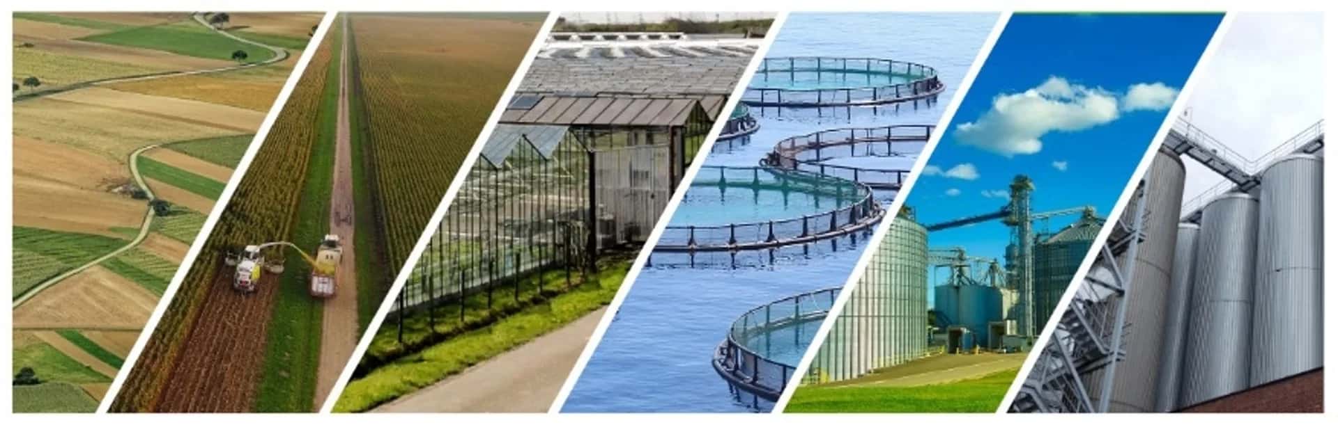Agri-Food Processing